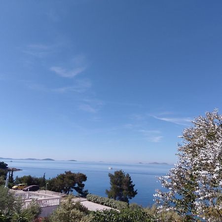Amazing Villa Galeb In Murter Zimmer foto